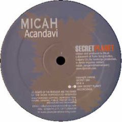 Micah - Acandavi - Secret Planet