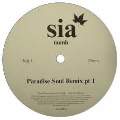 SIA - Numb (Remixes) - Go Beat