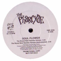 Pharcyde - Soul Flower - Delicious Vinyl