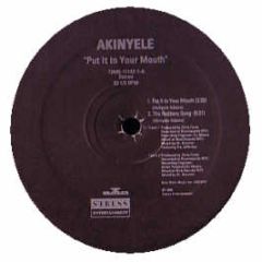 Akinyele - Put It In Your Mouth - BMG
