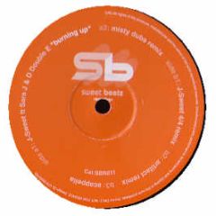 J Sweet Feat. Sara J & D Double E - Burning Up - Sweet Beetz