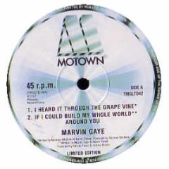 Marvin Gaye - I Heard It Through The Grape Vine - Motown