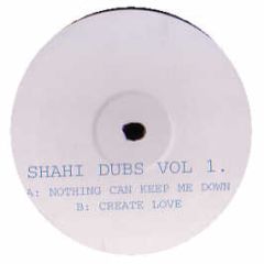 Shahi - Dubs Volume 1 - Shahi Dubs 1