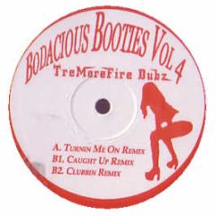 Nina Sky / Usher /Marques Housten - Turning Me On / Caught Up / Clubbin (Remixes) - Bodacious Booties