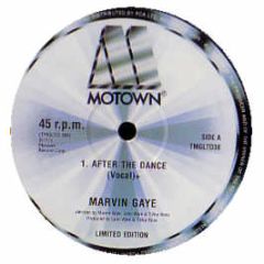 Marvin Gaye - After The Dance - Motown