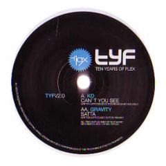 Various Artists - Ten Years Of Flex V2.0 - Flex Records