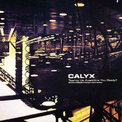 Calyx - Tearing Us Apart - Moving Shadow