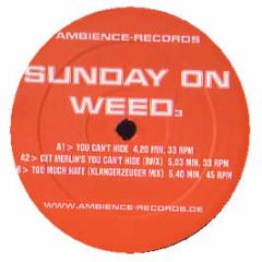 Sunday On Weed - You Can't Hide - Ambience Records