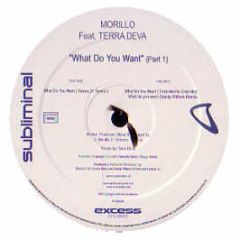 Erick Morillo Ft Terra Deva - What Do You Want (Remixes) - Executive Sub 1