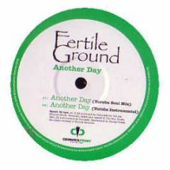 Fertile Ground - Another Day (Remix) - Counter Point