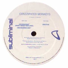 Constipated Monkeys - Cro-Magnon / Erectus - Subliminal