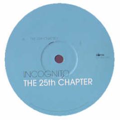 Incognito - The 25th Chapter - Dome