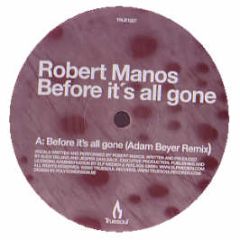 Robert Manos - Before Its All Gone - Truesoul