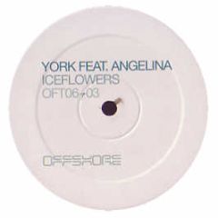 York Feat. Angelina - Iceflowers - Offshore