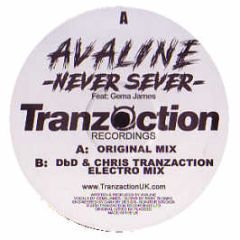 Avaline - Never Sever - Tranzaction Recordings 
