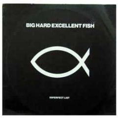 Big Hard Excellent Fish - The Imperfect List - One Little Indian