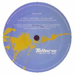 Chris J & Cable - Are You Real? - Telluric