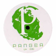 Fernandez & Musgrove - Directions In Groove - Pangea