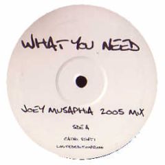 Joey Musaphia - What You Need / Stomp (2005 Remixes) - Stoft 1