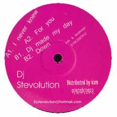 DJ Stevolution - I Never New / For You / DJ Made My Day - Evo Records
