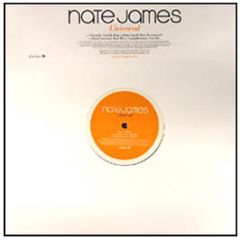 Nate James - Universal (Future Cut Remix) - Onetwo Records