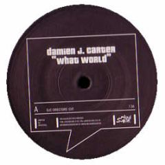 Damien J Carter - What World - Milk & Sugar