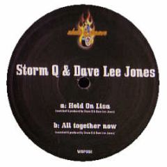 Storm Q & Dave Lee Jones - Hold On Lisa - Wheels Of Pleasure