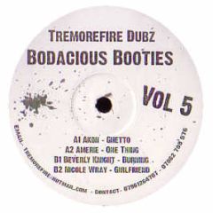 Akon / Amerie / Beverly Night - Ghetto / 1 Thing / Burning (Remixes) - Bodacious Booties