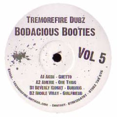 Akon / Amerie / Beverly Night - Ghetto / 1 Thing / Burning (Remixes) - Bodacious Booties