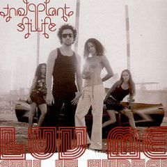 Plant Life - Luv Me (Til It Hurts) - Gut Records