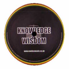 Vital Elements - The Future (Remix) - Knowledge & Wisdom