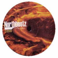 Timo Benz - The Ecolution EP - Northbeat Z Audio