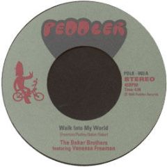 The Baker Brothers - Walk Into My World - Peddler