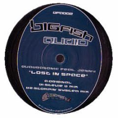 Quadrasonic Feat. Jenny - Lost In Space - Bigfish Audio 2