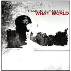 Damien J Carter - What World - Milk & Sugar