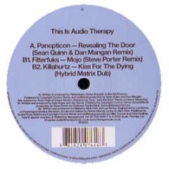 Dave Seaman Presents - This Is Audiotherapy (Vinyl Sampler 2) - Audio Therapy