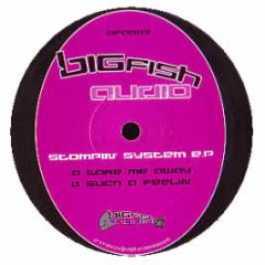 Stompin System EP - Take Me Away - Bigfish Audio 3