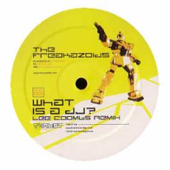 The Freakazoids - What Is A DJ? (Lee Coombs Remix) - Thrust