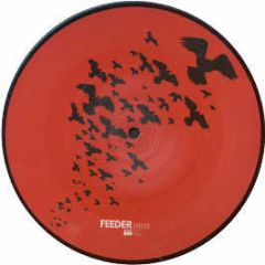 Feeder - Shatter (Picture Disc) - Echo