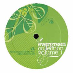 Lenny Kravitz - Are You Gonna Go My Way (Remix) - Evergreen Collection Vol 1