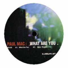 Paul Mac - What Are You - Kanzleramt