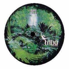 P Carrilho - Niagara - Tribo Recordings