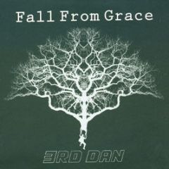 3rd Dan - Fall From Grace - Honey 13