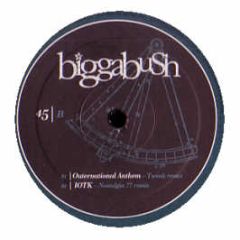 Biggabush - This River - Stereo Deluxe