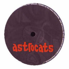 Astrocats (Silicon Soul) - Back 2 Tha Playground - Darkroom Dubs