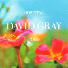 David Gray - Hospital Food - Atlantic