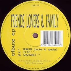 Friends Lovers And Family - Tribute EP - Lush