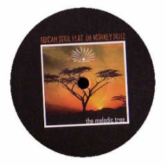 Abicah Soul - The Melodic Tree - Aricah Soul Recordings 4