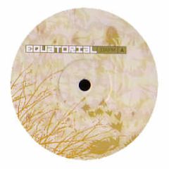 Various Artists - Climate Shift (Album Sampler) - Equatorial Records 6