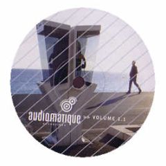 Various Artists - Audiomatique Recordings Volume 1.1 - Audiomatique